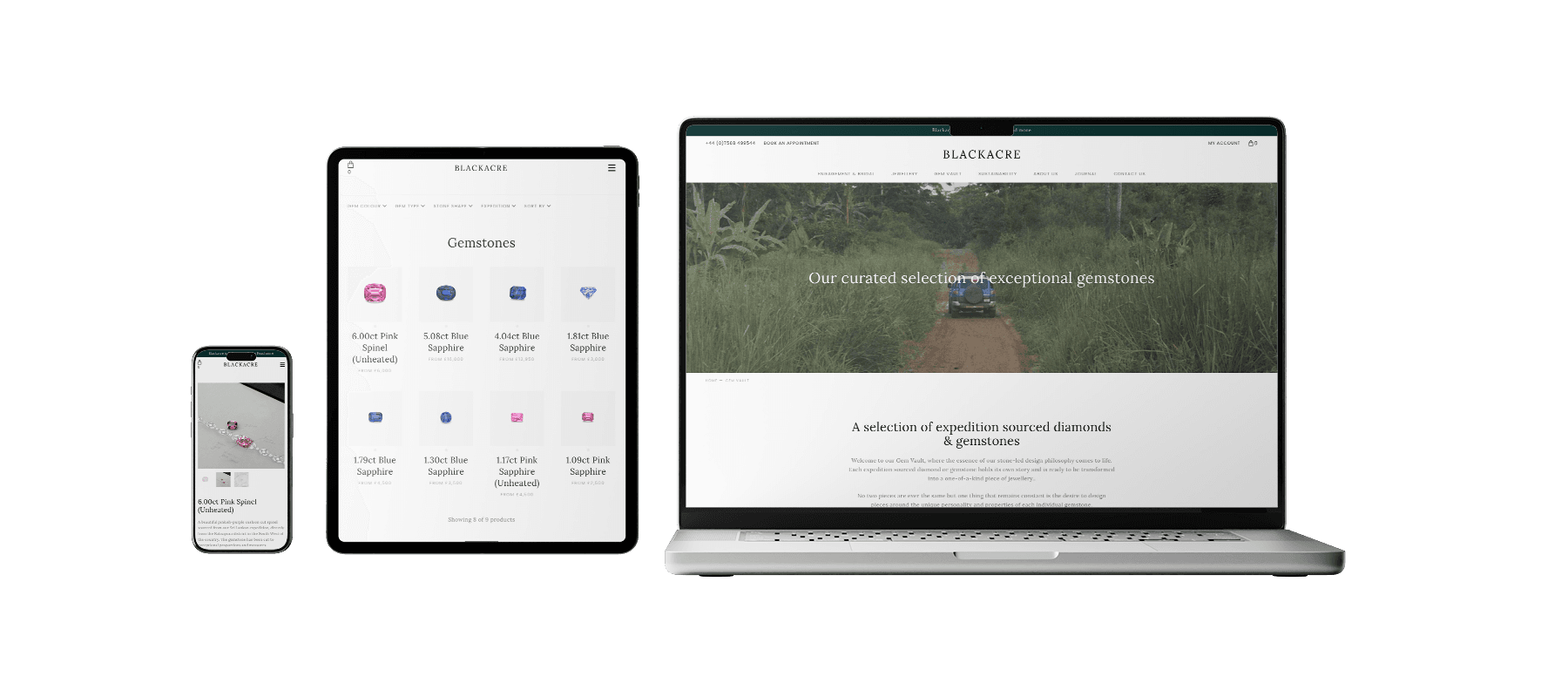 Blackacre Jewellery project screenshot