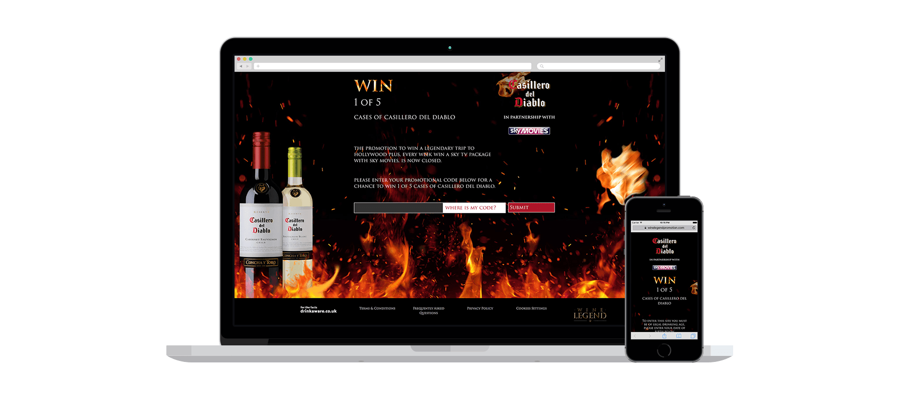 Casillero Del Diablo project screenshot