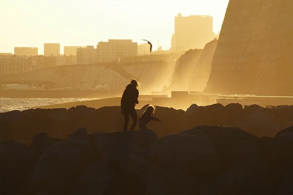 The Living Coast — project thumbnail
