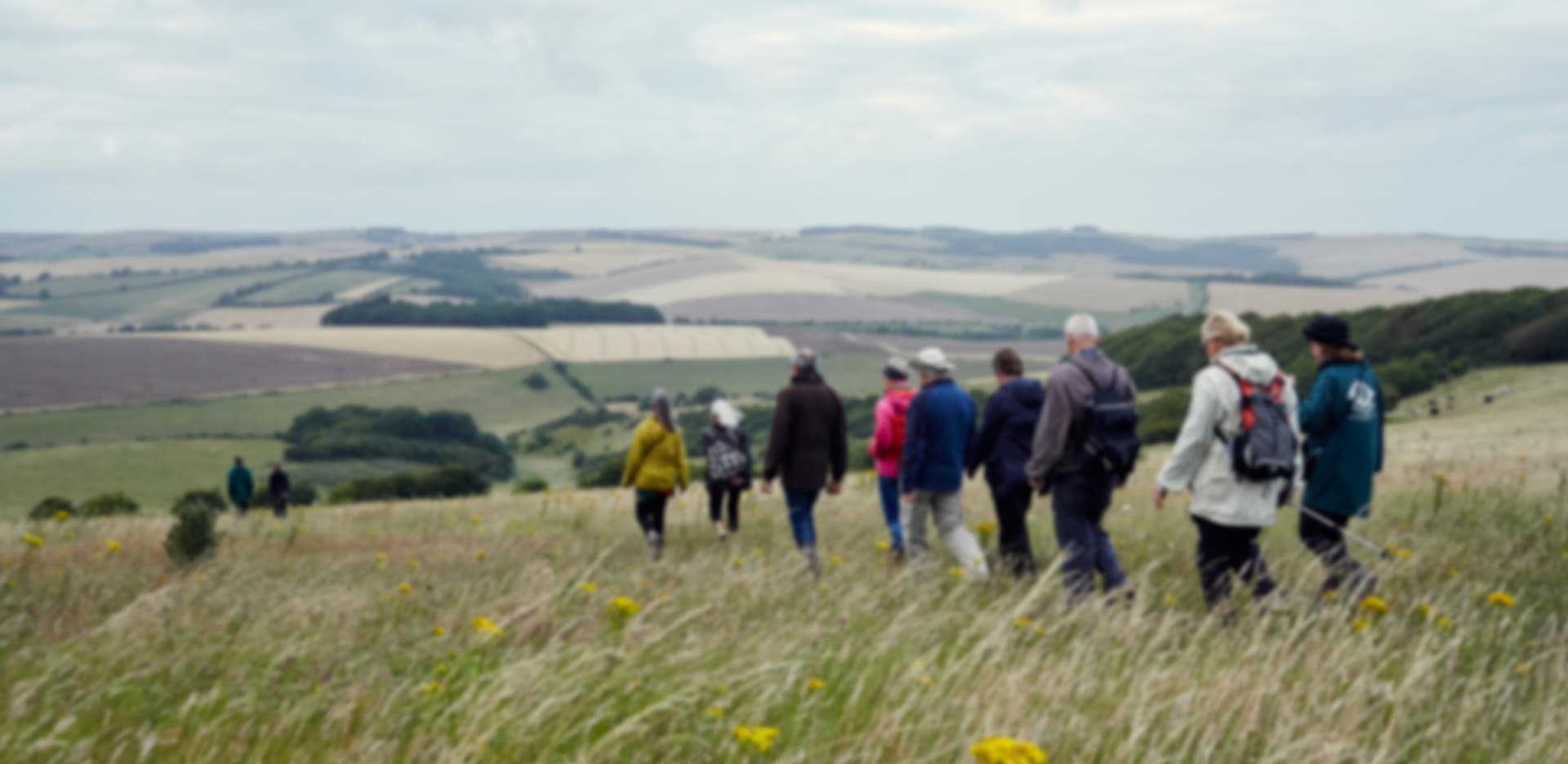 The Living Coast hero background image