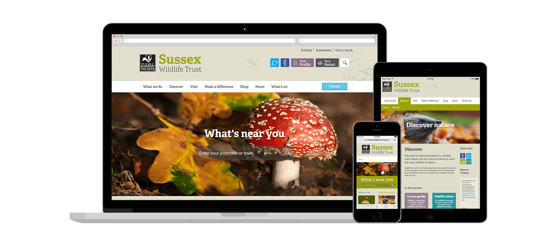 Sussex Wildlife Trust project screenshot